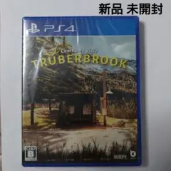 新品 未開封 PS4 トルバーブルック