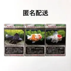 Item thumbnail for item 223d844e-777b-4ac4-a164-2cc9598775fc