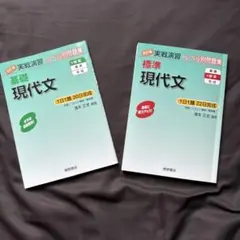 基礎&標準現代文（2冊セット）