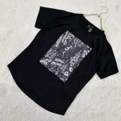 Item thumbnail for item 17d0631a-fb65-4653-84f9-2ca72df160c4