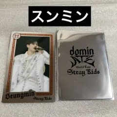 straykids ランダムライブフォトカード スンミン