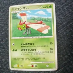 ポケモンカード ヤンヤンマ lv.13 HP70
