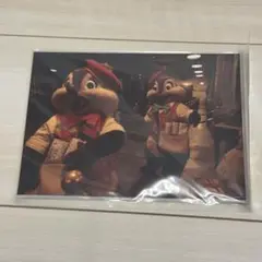 【新品】　チップとデール　写真　アメリカンウォーターフロント