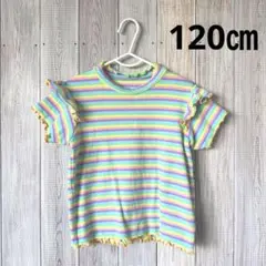 Tシャツ キッズ 女の子 120㎝ こども
