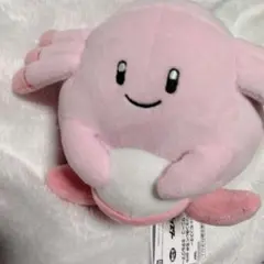 ポケモン ポケットモンスター カラーセレクション pink ラッキー 匿名配送