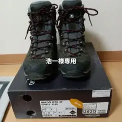 ローバーバルドGTX