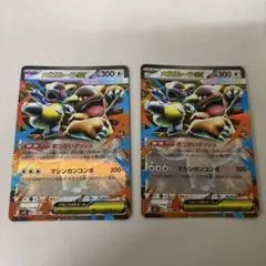 メガカメックスEX 2枚セット