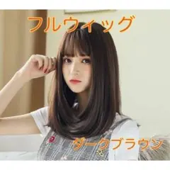 フルウィッグ ナチュラルヘアー ネット付き ダークブラウン セミロング