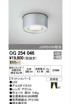 ODELIC OG 254 046 軒下用シーリングライト