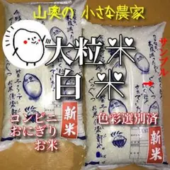 新米 棚田の幻の 大粒米 酵素米 お米 玄米 10キロ「標準 白米に精米」希少