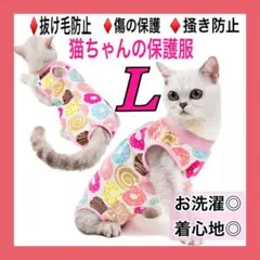 Item thumbnail for item b302ab5d-28f6-47be-a090-61e50cecd58d