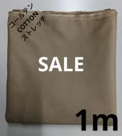Item thumbnail for item ef25702c-82e5-4798-a144-3ad60091fedf
