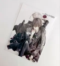 LaLaDX 9月号 アニメイト通販特典 ヴァンパイア騎士 ブロマイド1枚