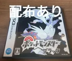 DSポケットモンスター ブラック (ニンテンドーDS)ソフト