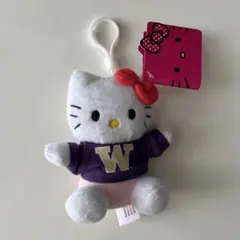 サンリオ　キティ　ぬいぐるみ　キーホルダー　マスコット　ピンク　紫　海外　匿名