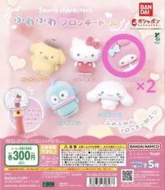サンリオキャラクターズ フロッキードール マイメロセット