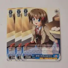 ヴァイスシュヴァルツ 中学三年生のはやて