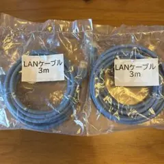 LANケーブル　3m 新品2本