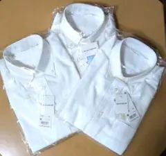 Item thumbnail for item 028769a5-fe94-4877-a20b-20111d443925