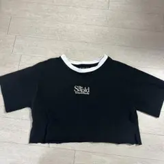 Item thumbnail for item 6efdc6a4-bf74-4405-b441-af40266b3225