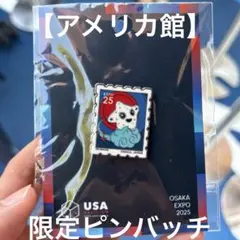 新品未開封　EXPO 万博　USA アメリカパビリオン　スパーク　限定ピンバッジ