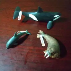 シュライヒ 海獣 ３点セット