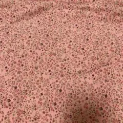 参考 生地②