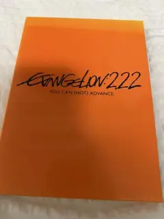 エヴァンゲリオン DVD 破 ネガ 付き