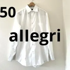 美品 allegri アレグリ 長袖 シャツ Sz.50　メンズ 大きいサイズ