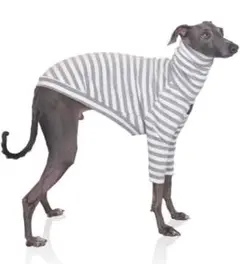 Item thumbnail for item ca4f8edb-0cc1-4e58-bf73-660ce89dd8f2