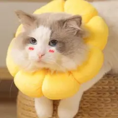 Item thumbnail for item 6c1d62b8-2849-4672-bede-ffe13920b99a