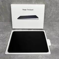 1回使用　Magic Trackpad ブラック A3120