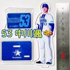 横浜DeNAベイスターズ BlueMates 選手アクリルスタンド　中川颯 53
