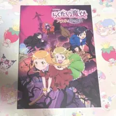 映画 らくだい魔女 フウカと闇の魔女 パンフレット