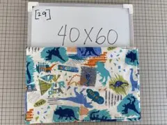 ランチョンマット ハンドメイド 男の子 40x60 [29]