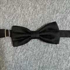 Item thumbnail for item b05d83ec-6350-4a7e-90f5-627bfd6b38f8