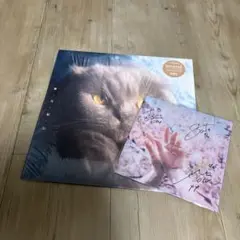 2025年最新】猫戦 レコードの人気アイテム - メルカリ