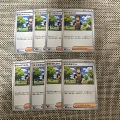 ポケカ　タケシのスカウト　8枚