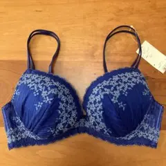 Item thumbnail for item dd760653-3abf-4652-ae70-76bcdebec467