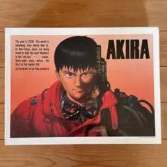 【AKIRA】未開封　金田　鉄雄　ジグソーパズル　108ピース ２個セット m48388973916_1.jpg?1728854845