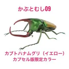 いきもの大図鑑 かぶとむし09 カブトハナムグリ(イエロー)単品 カプセル版