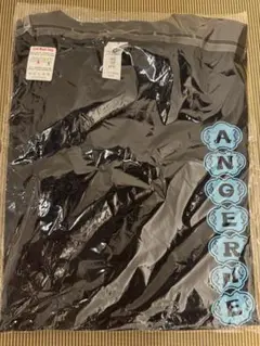 アンジュルム 桜梅桃李 香港公演限定Tシャツ L