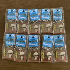 呪術廻戦 五条悟 東京限定 バレーボール アクリルキーホルダー10点セット