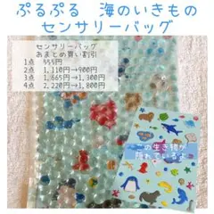 ⭐︎センサリーバッグ⭐︎