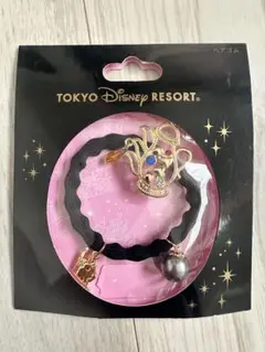 TOKYO Disney RESORT ヘアゴム