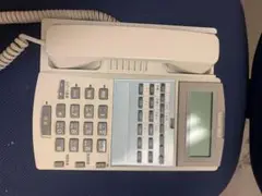 【値下げしました】IWATSU電話機 IX-12KTD-R