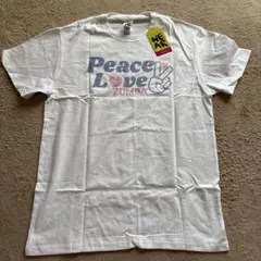 Peace Love ZUMBA Tシャツ　XS/S