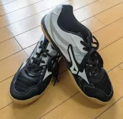 MIZUNO WAVE KAISERBURG 5 ホワイト/ブラック