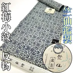 2025年最新】綿紅梅 竺仙の人気アイテム - メルカリ