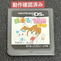 味楽る!ミミカ DS 任天堂 ニンテンドー